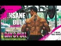 INSANE BULK