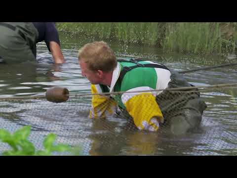 Imparatia stiucelor la Domeniile Lungu  Bivolari   Iasi