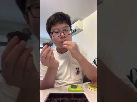 Lindt Swiss Thin Chocolate ASMR Part 2 🍫