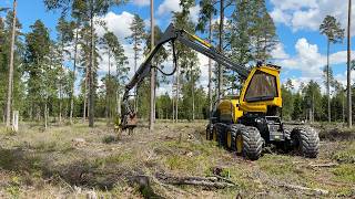 Харвестер Eco Log 688E | Изображение 4 - Agroline