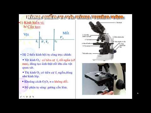 <a href="/thu-vien/tai-nguyen/khoi-11" title="Khối 11" rel="dofollow"Khối 11</a