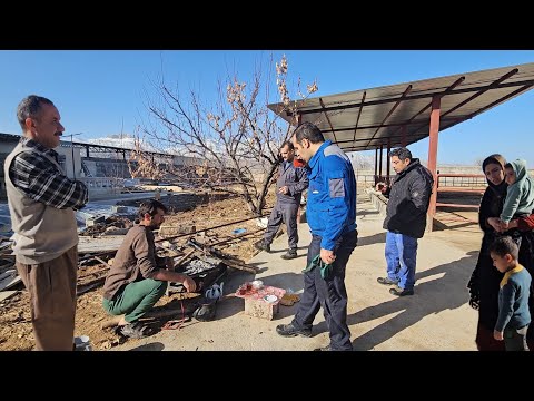 🌾🐄🌿🥛Growing Our Family Dairy Farm & Installing an Industrial Milking Machine