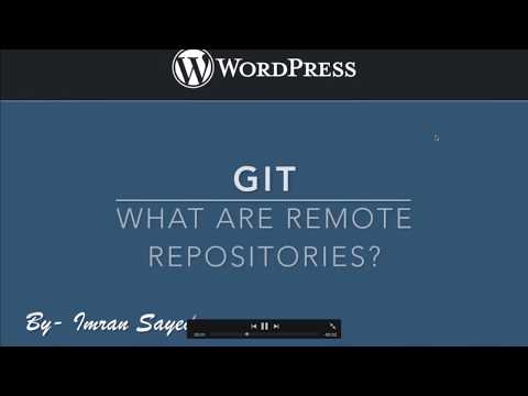 What are remote repositories