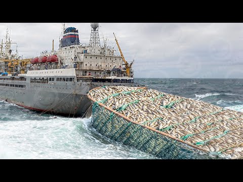Life INSIDE Largest Fishing Factory SHIP Produces 42 MILLION Cans of Seafood