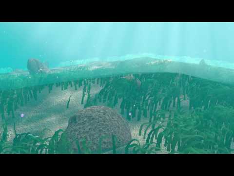 Under The Sea CGI Scene