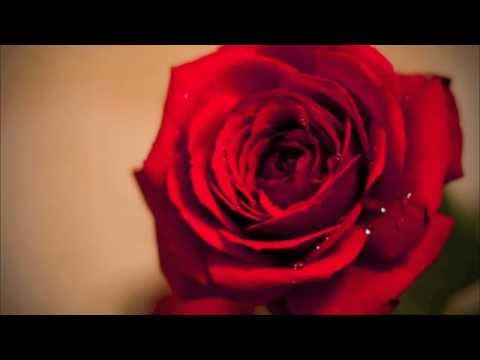 R&B Love Instrumental Beat - 