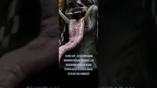 Download lagu Wejangan Jawa . Story WA . Kejawen mp3 Download lagu Wejangan Jawa . Story WA . Kejawen mp3