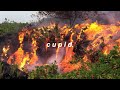 The Way Life Goes 8d Slowed Lil Uzi Vert