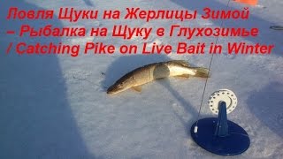 Рыбалка в свердловской области на жерлицы зимой