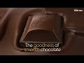 Cadbury Dairy Milk Smooth Chocolatey Goodness In Every Bite