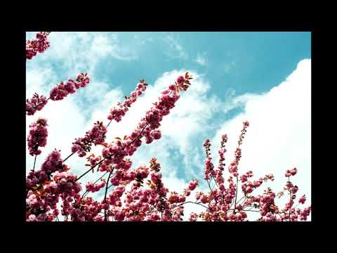 Up We Go 2   Peter Sandberg (Epidemic Sound)