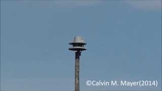 preview picture of video 'Kendallville, IN ACA Banshee Siren Test 4-12-14'