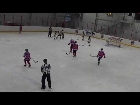 Szigeti Bikák - Jégoroszlánok U12