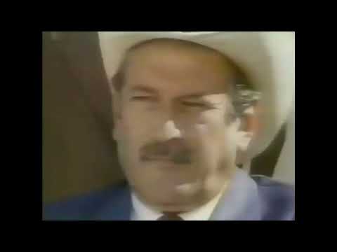 1991. Fera Radical | Vale a Pena Ver de Novo