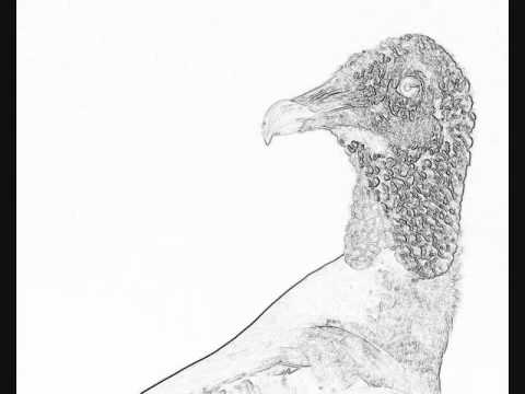 Rudi Arapahoe - Vulture Phantasy