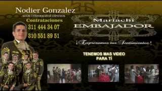 Video de Mariachi Embajador