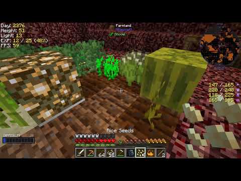 Forever Stranded: Lost Souls with Direwolf20 - Episode 14 - Better With Windmills