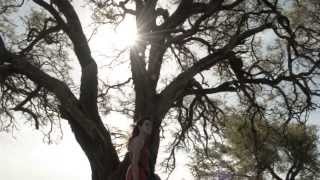 Ensayo Sobre El Lugar - Trailer