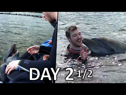 Swimming With the Dolphins in Japan (ft. Daidus & Premier Two) | RV Trip Day 2 (1/2)