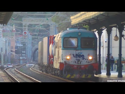 D345.1091 INSOLITAMENTE IN TESTA AL BICOCCA - MESSINA CENTRALE