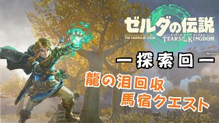 【ゼルダの伝説 ティアーズ オブ ザ キングダム】12：寄り道リンク再び！ーおまたせ探索回ー