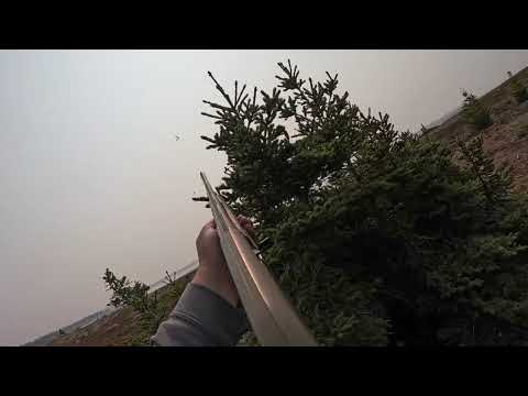 Long Necks Goose Hunting (Big Canada’s) in James Bay, 2025
