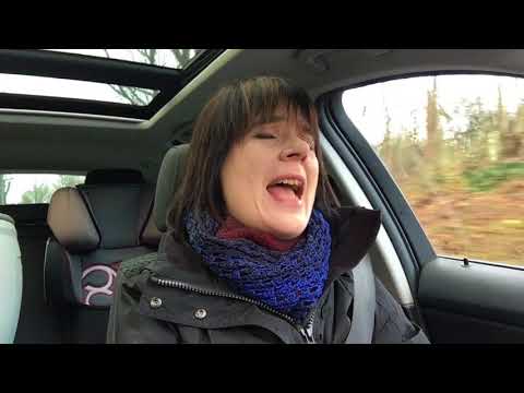 Car-Change 1 What about us (Pink Cover)