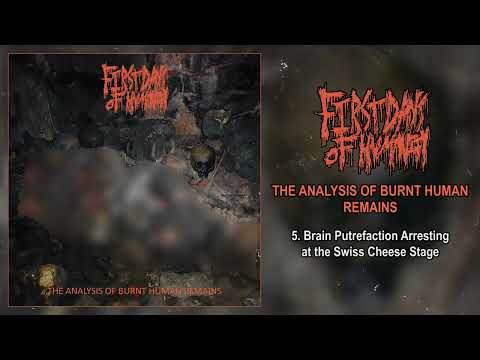 First Days Of Humanity - The Analysis of Burnt Human Remains FULL EP (2023 - Goregrind / Gorenoise)