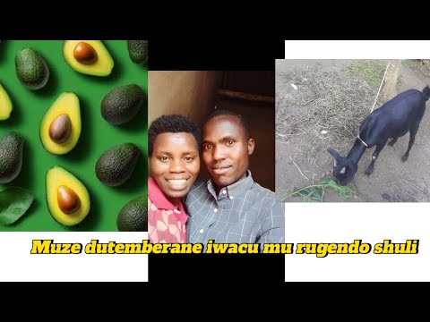 #MU Rwanda: Dore uko urugendo shuli kwa Justin rwagenze twarishimye yatweretse byinshi.