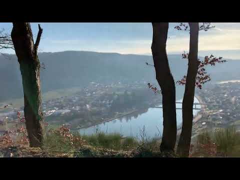 Mehring Huxlay Plateau #Huxlay #Mosel #Mehring #Huxlayplateau #Finnenbahn #bohrmarc