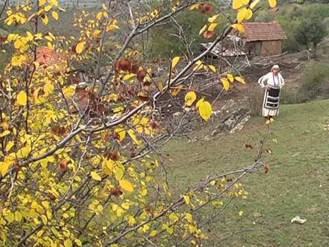 Stojna Kitanova - Ajde prodava se konja pelifana (evergreen evergreen)