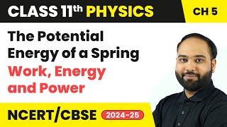 The Potential Energy of a Spring - Work, Energy and Power | Class 11 Physics Chapter 5 |CBSE 2024-25