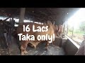Biggest Organic Cow Farm In Bangladesh 16 Lacs Worth Cow Vlog 1 USA Brahman Cow Sadeek Agro