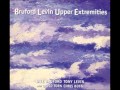 Cracking The Midnight Glass-Bruford Levin Upper Extremities(1998)-Bruford Levin Upper Extremities