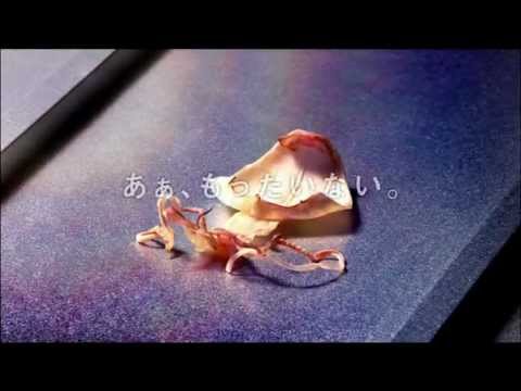 IDEXするめ編