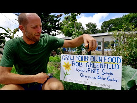 Growing & Foraging 100% of His Food WITHOUT LAND OF HIS OWN: 1-Year Challenge w/ Rob Greenfield