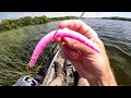 I Don T Know Why This Catches So Many Fish