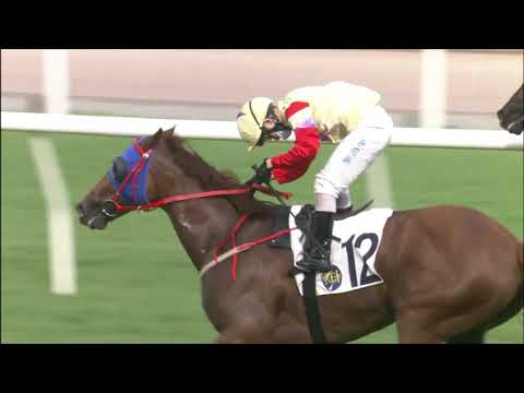 1/7/2021 (794) Ultimate Glory - Alex Lai