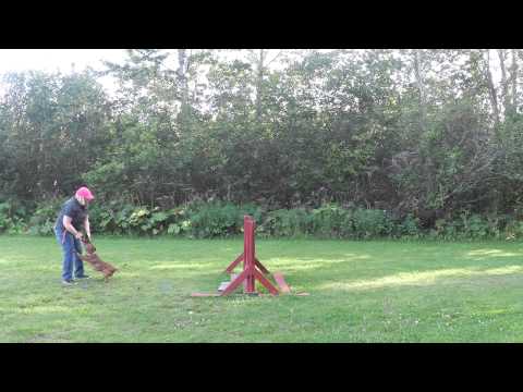 Raisa Jump training 8/21