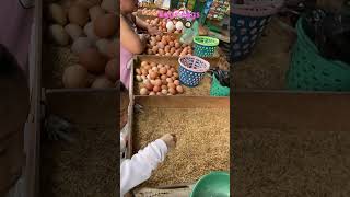 Can you see the small quails eggs ? Traditional market #eggs #selling #challenge