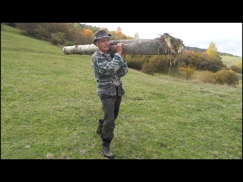 Zivot u samoci Pesterskog nomada