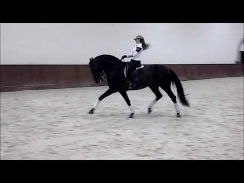 verificado, ortigao costa