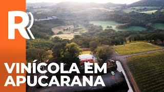 Miniatura do vídeo