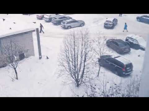 Читаю стихи Анны Ахматовой на фоне полёта свиристелей