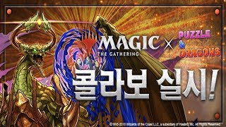 [퍼즈도라 토크] 여름맞이와 매직 더 게더링
