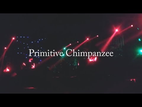 Primitive Chimpanzee - Gerbang Berkarat MMXVII