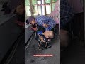 Faded Song Poor Disabled Family Emostional Ytshorts Shorts Viralshort Tiktokviral