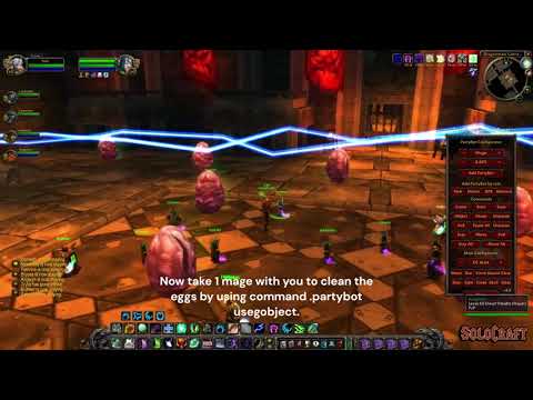 SoloCraft.org - Razorgore the Untamed Solo Kill