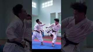 Download lagu Highlight karat’s moves #loitrankarate mp3