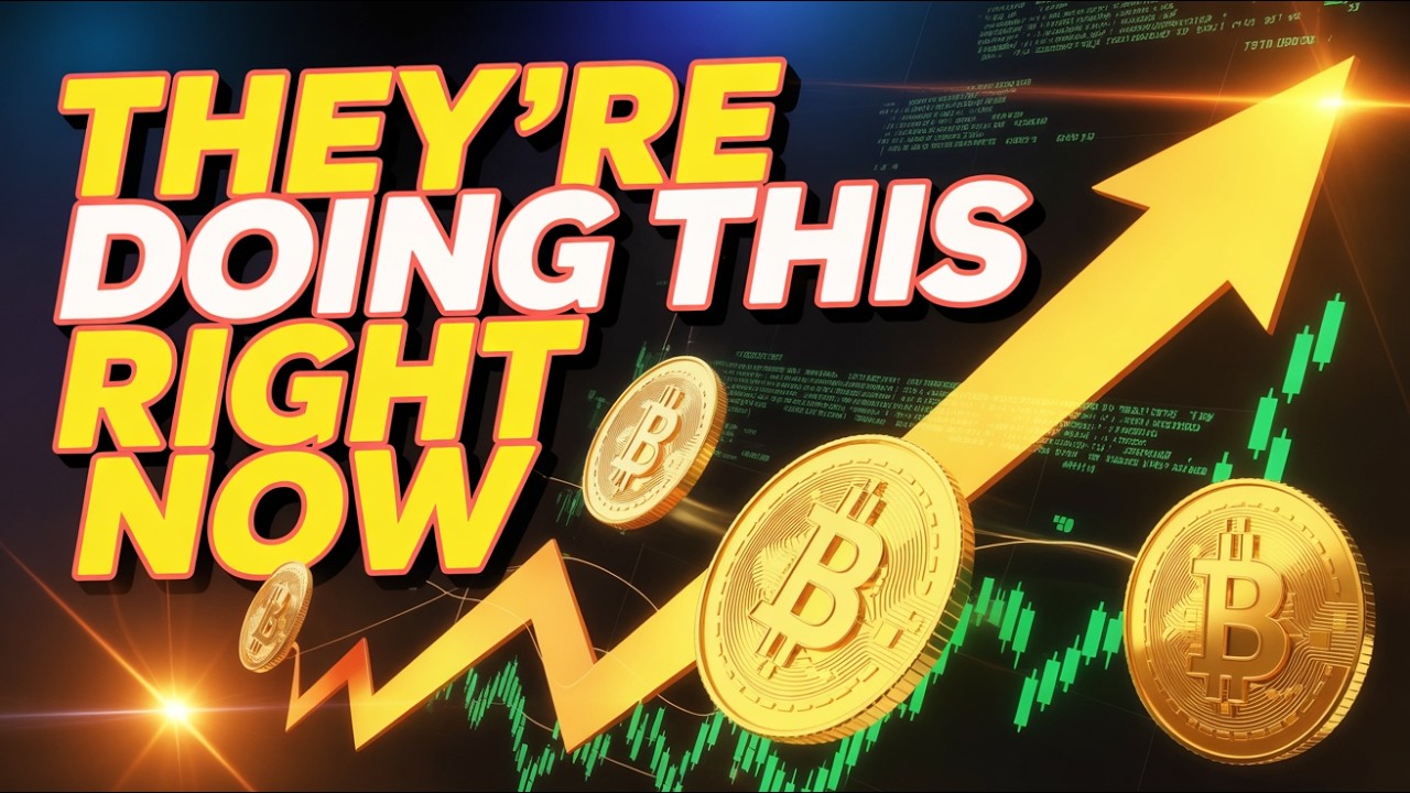 Tax Exempt Crypto Bitcoin Has Reached Escape Velocity Major Ripple XRP Hedera Adoption